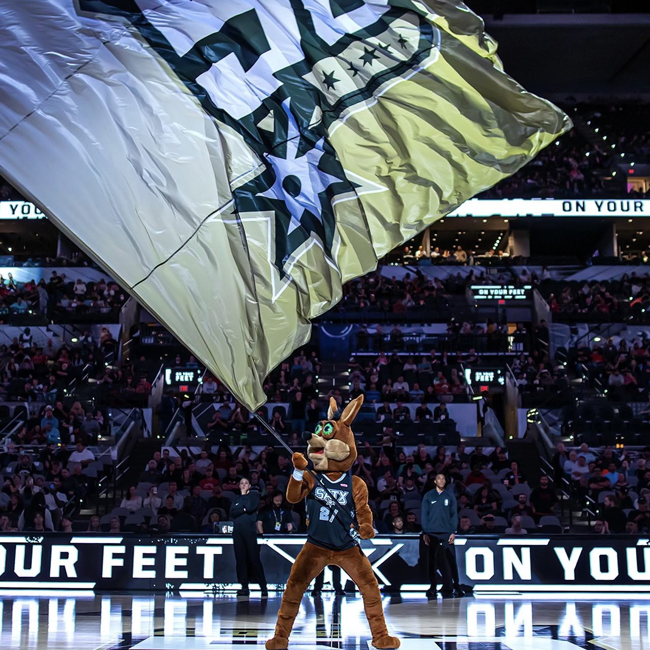 通常情况下 通常情况下