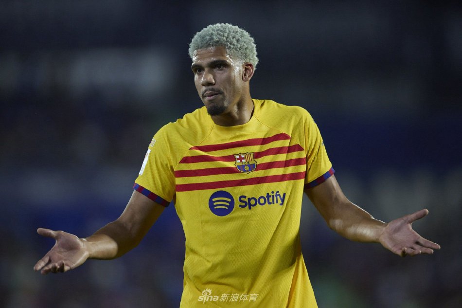 费尔曼的年 费尔曼的年